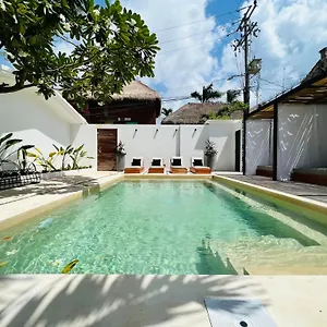Aalada , Playa del Carmen Mexico