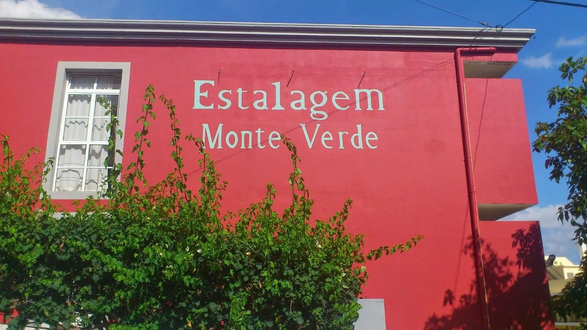 Monte Verde Funchal  Casa de hóspedes