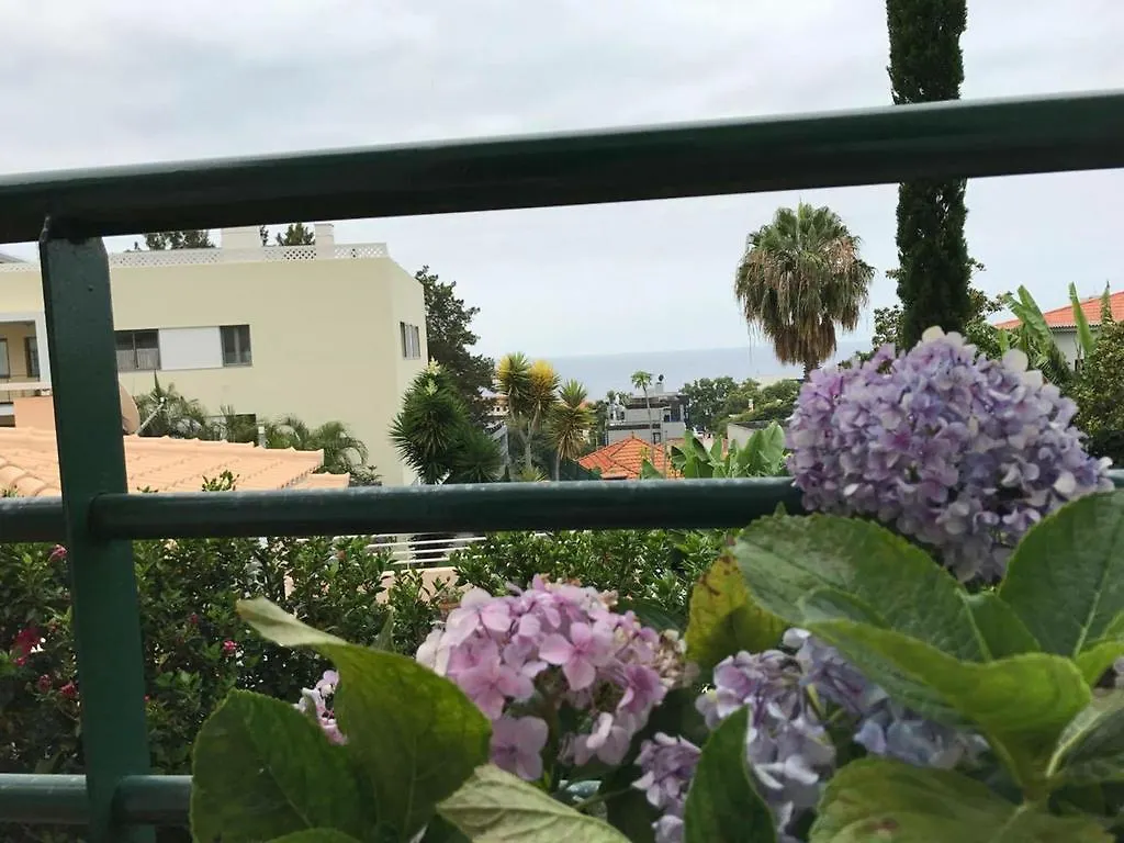 Monte Verde Funchal